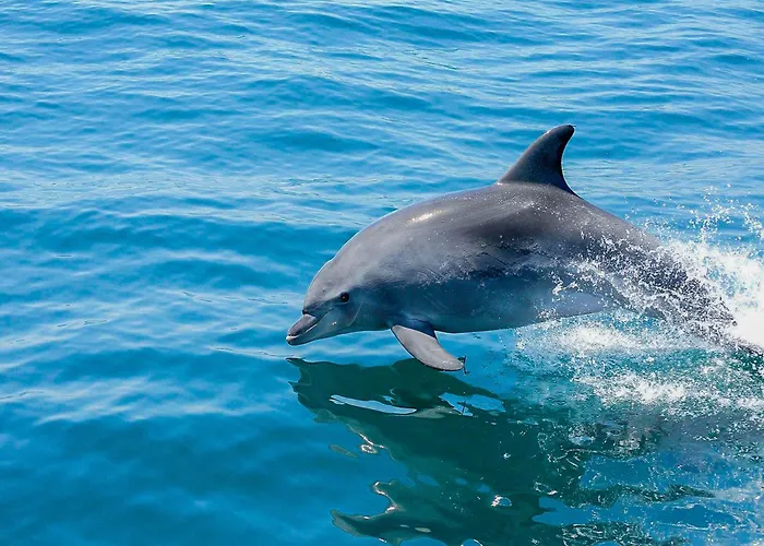 Ocean Breeze Rooms, Guest house