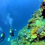 בית הארחה Ocean Breeze Rooms, אלבופיירה